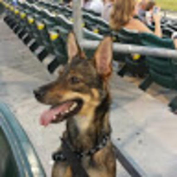 Meet your Posher, Carolyn - Picture 1 of 1